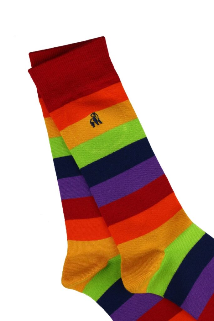 Pride Bamboo Socks